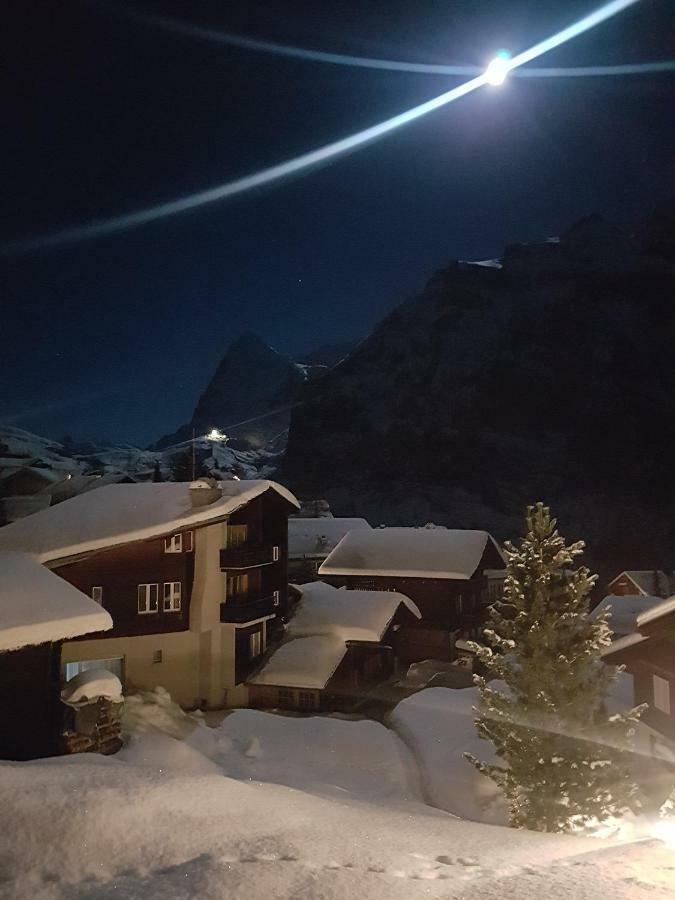 Apartament Chalet Anemone 2 Mürren Zewnętrze zdjęcie